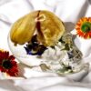 Kuss der toten Tulpen – Bild 2