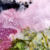 Sommerharmonie – Bild 5