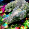 Exklusiv Tiefenleuchten Drache – Bild 2