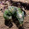 Exklusiv Tiefenleuchten Drache – Bild 7